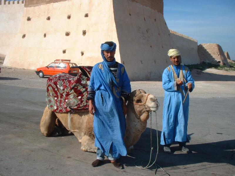 Agadir Maroc balade dromadaire