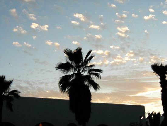 Agadir Maroc ciel divers palmiers club