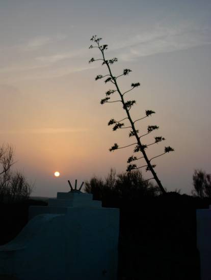 Essaouira Maroc coucher soleil