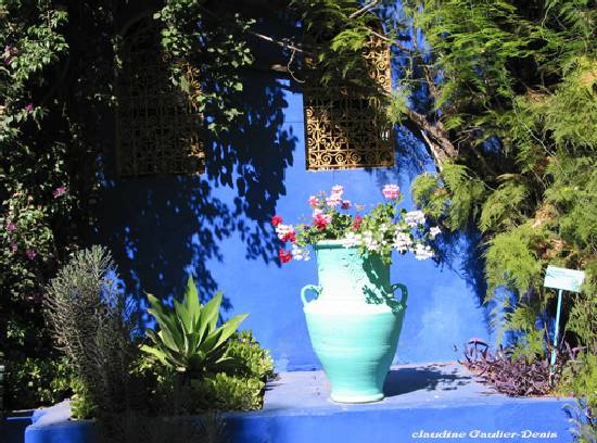 Marrakech Maroc fleur arbre villes couleurs jardin