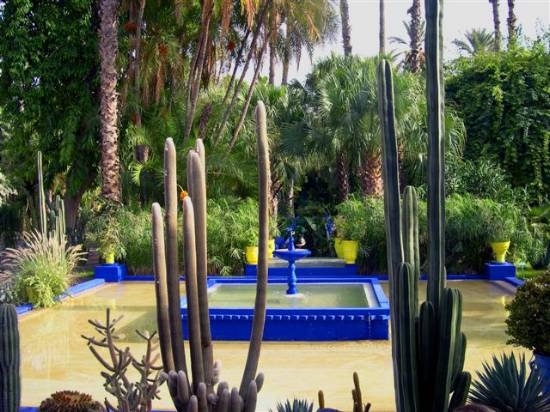 Marrakech Maroc jardin plante divers bleu jardins