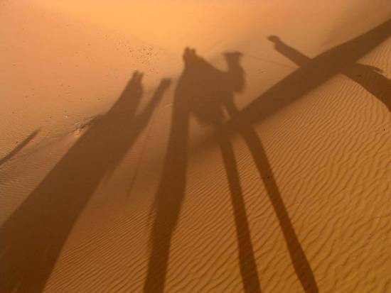 Marrakech Maroc ombre dune déserts coucher