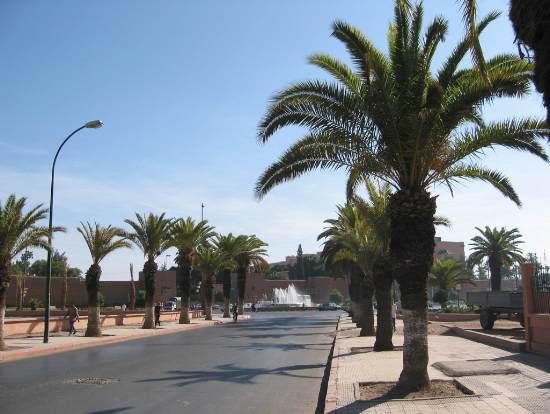 Marrakech Maroc palmier fontaine villes passant boulevard