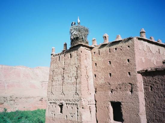 Ouarzazate Maroc architecture kasbah