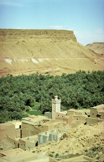 Ouarzazate Maroc montagne palmerais