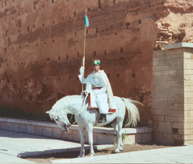 Rabat Maroc garde sur cheval tour Hassan