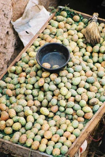 Agadir Maroc marches souk figues