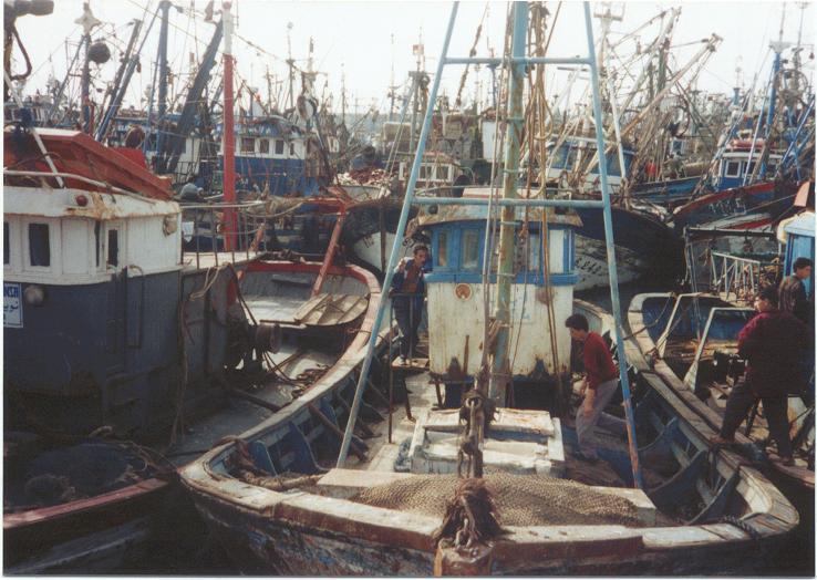 Agadir Maroc port